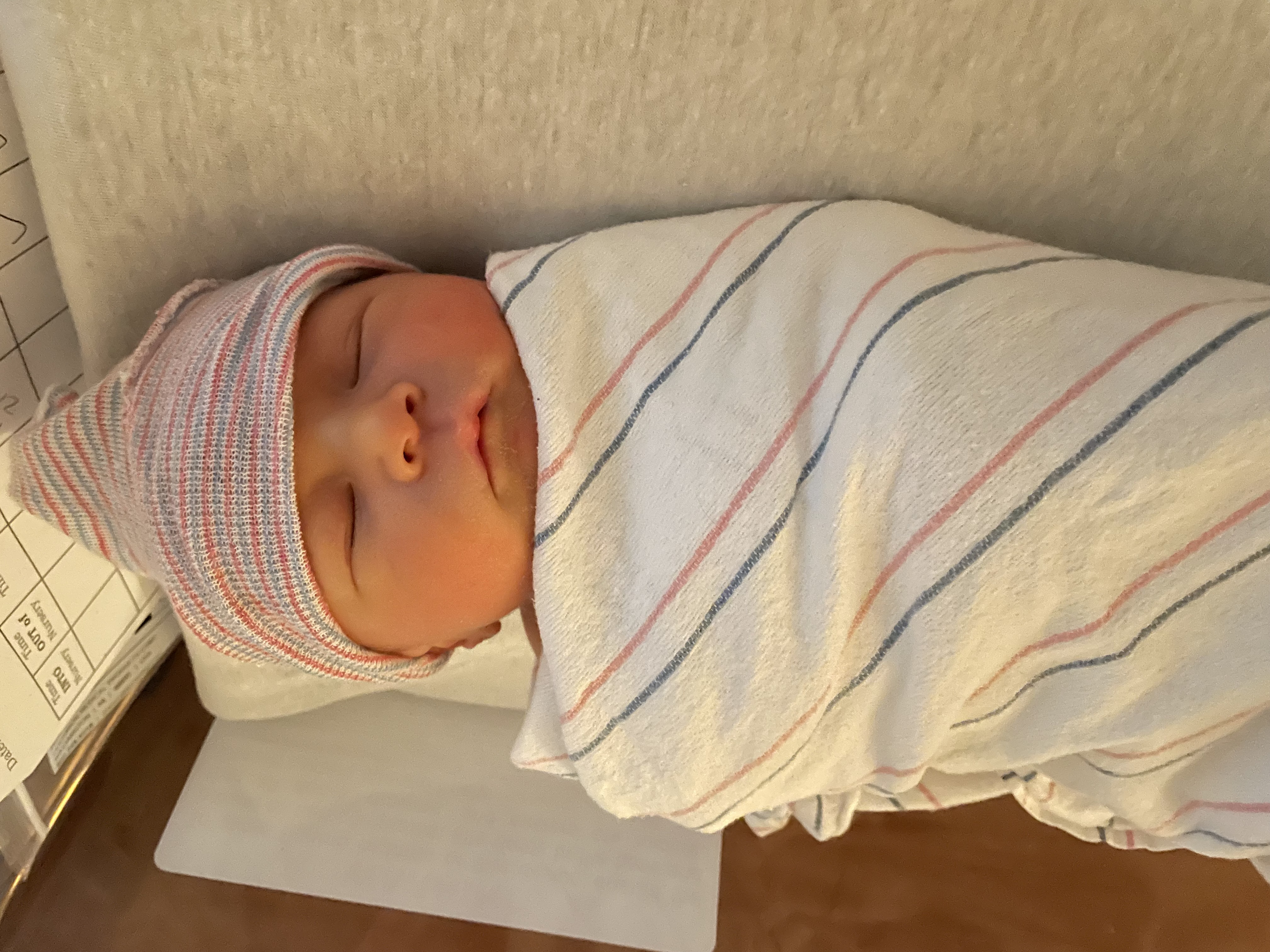 First lab baby alert! Haruto (春斗) Kohlgruber Manguso is born. 💕