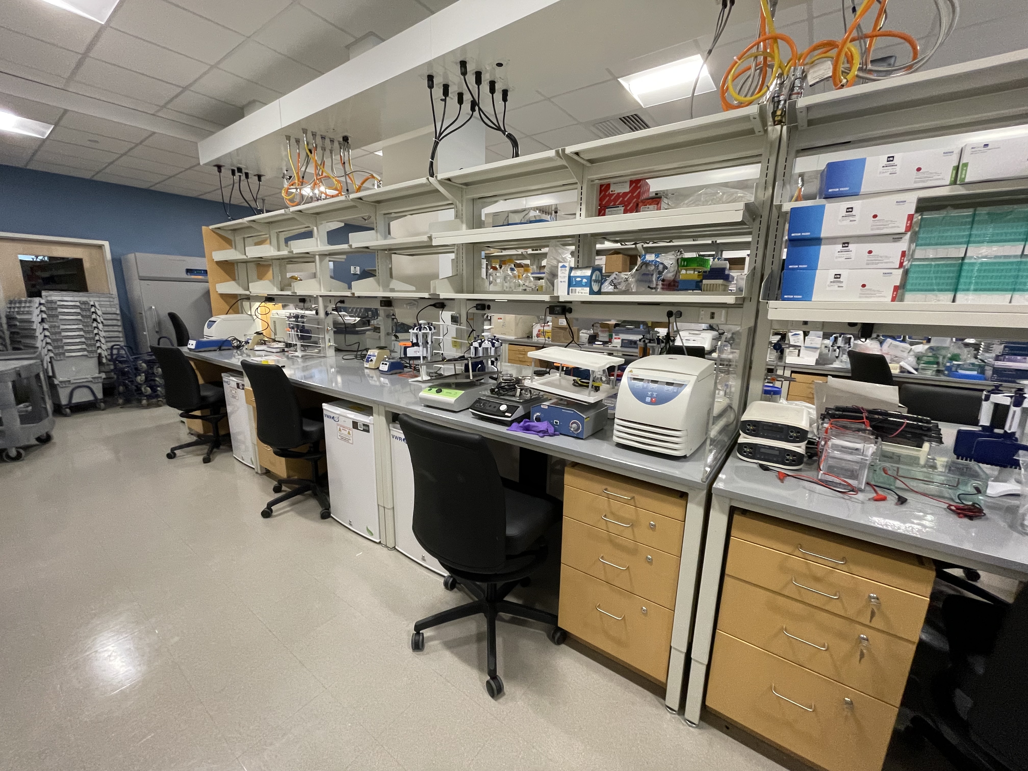 Kohlgruber lab officially opens at Boston Children's Hospital! 