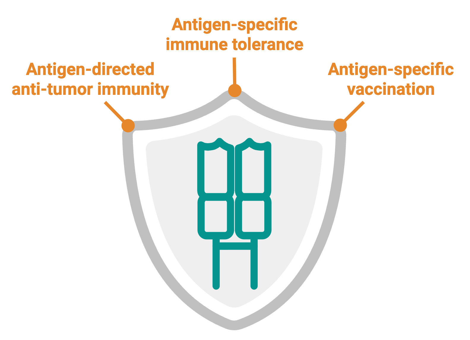 Visual for TCR Therapeutics & Precision Immunology